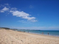 Judo stage Oleron